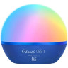 Фонарь OLIGHT OBULB PRO S BLUE
